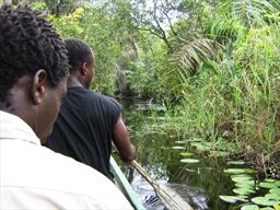 Canoe ride in Amansuri wetlands